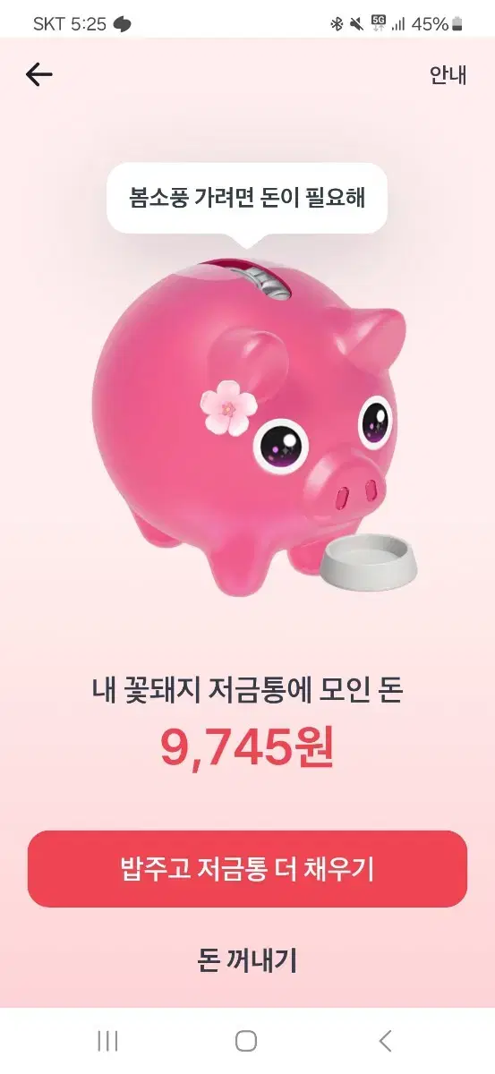 토스 꽃돼지